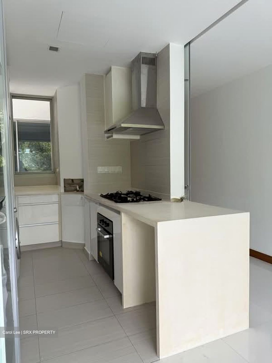 Floridian (D21), Condominium #563094011
